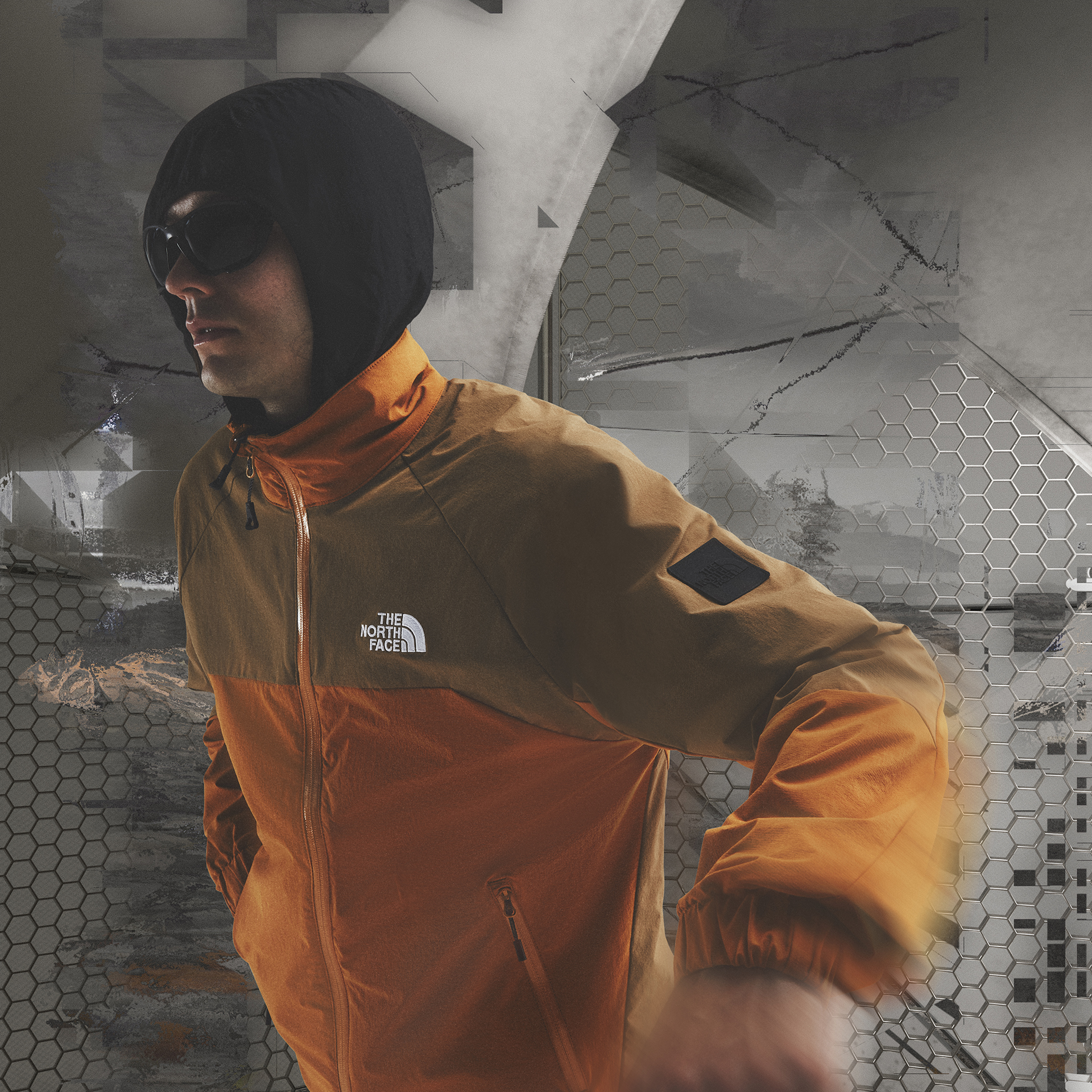 Andrea Campesato Segnini