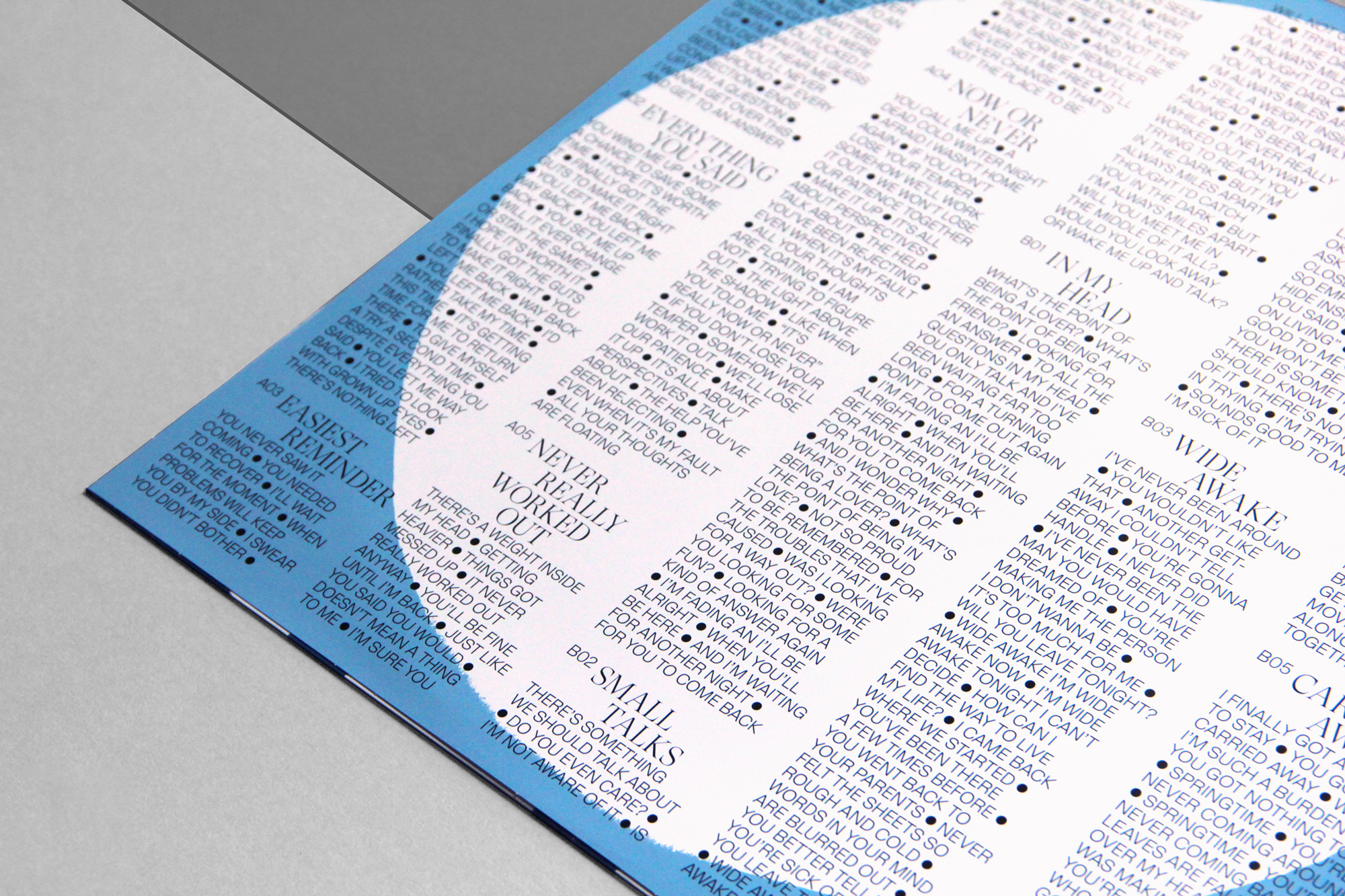 Andrea Campesato Segnini