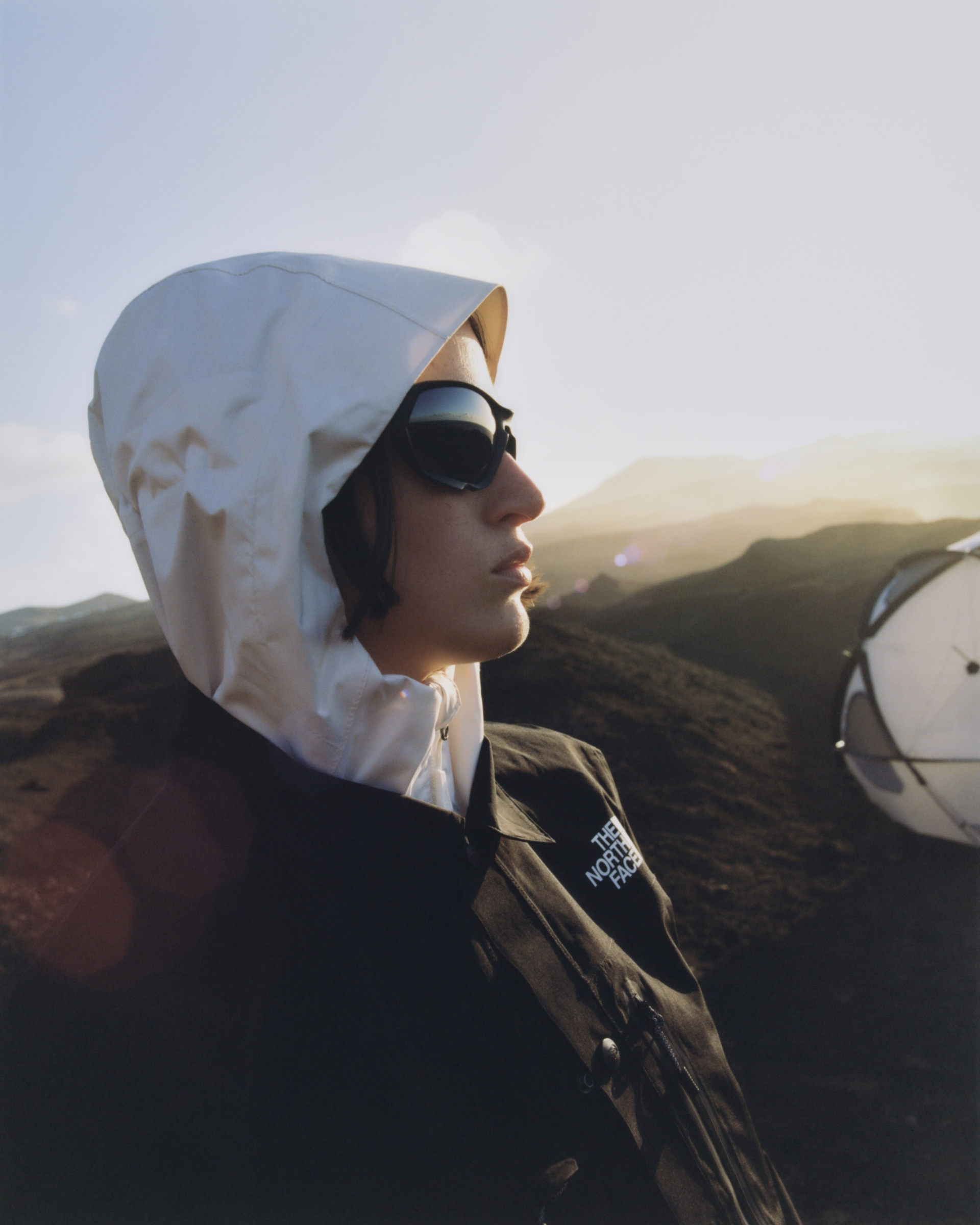 Andrea Campesato Segnini