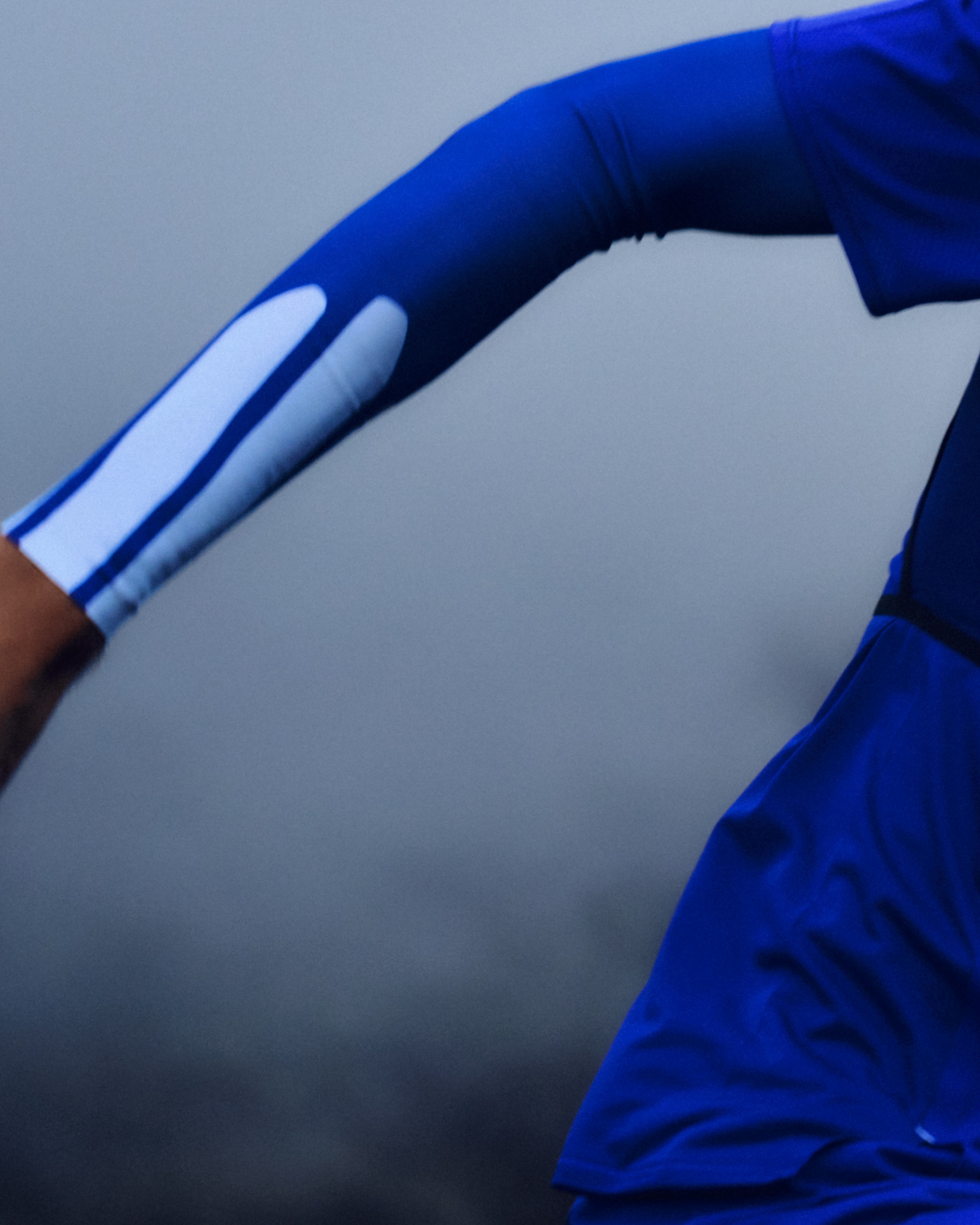 Andrea Campesato Segnini