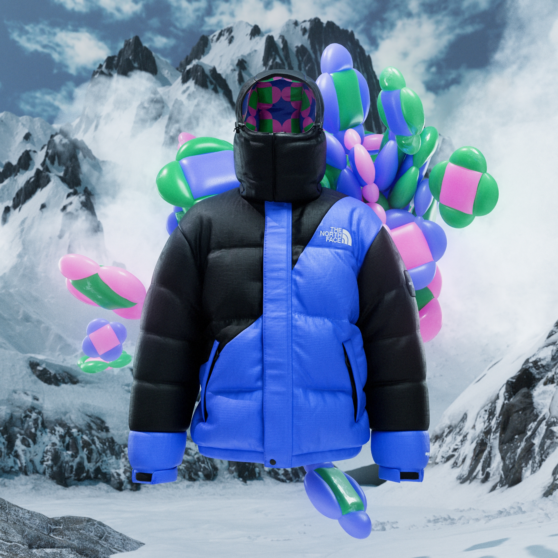 Andrea Campesato Segnini