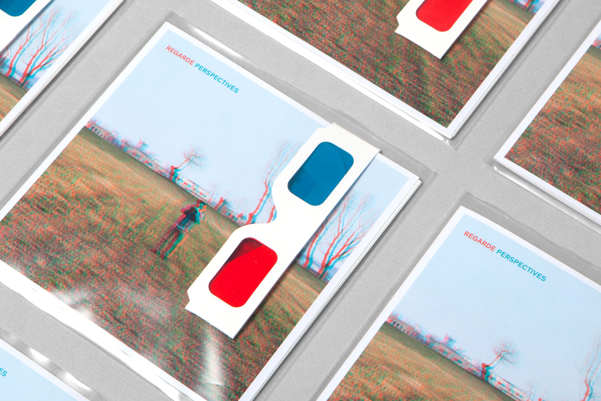 Andrea Campesato Segnini