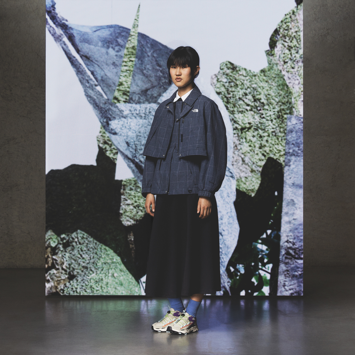 Andrea Campesato Segnini